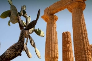 Desde Palermo: traslado a Siracusa con parada en Piazza Armerina