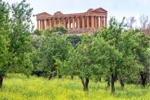 Desde Palermo: traslado a Siracusa con parada en Piazza Armerina