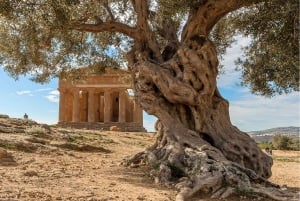Desde Palermo: traslado a Siracusa con parada en Piazza Armerina