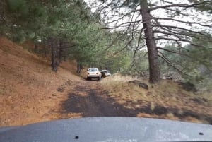 Van Palermo naar Taormina met tussenstop bij de Etna (transfer-tour)