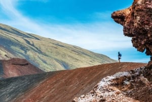 Van Palermo naar Taormina met tussenstop bij de Etna (transfer-tour)