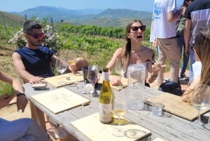 From Palermo: Vineyard Tour, Wine Tasting and Cooking Class