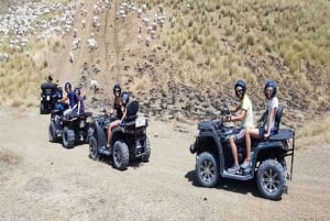 From Ribera: Quad Tour in the Province of Agrigento
