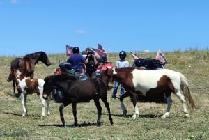 From Ribera: Quad Tour in the province of Agrigento