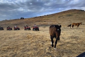 From Ribera: Quad Tour in the province of Agrigento