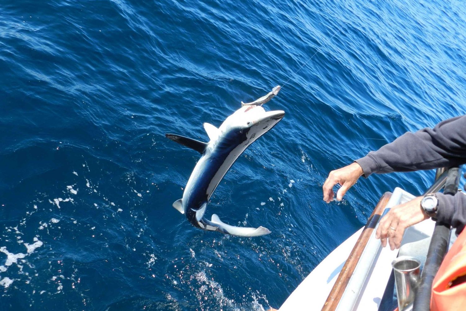 Da San Leone: esperienza di pesca privata al tonno rosso