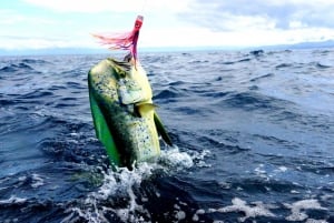 From San Leone: Private Bluefin Tuna Fishing Experience
