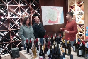 Siracusasta: Etna Adventure Trek & Wine Tasting Tour