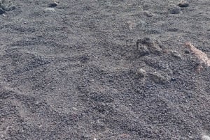 Da Siracusa: Tour dell'Etna - trekking, vino e cibo