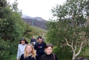 Da Siracusa: Tour dell'Etna - trekking, vino e cibo