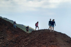 Da Siracusa: Tour dell'Etna - trekking, vino e cibo