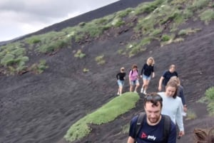 Da Siracusa: Tour dell'Etna - trekking, vino e cibo
