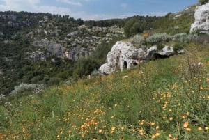 From Siracusa: Pantalica Nature Reserve Guided Hiking Tour