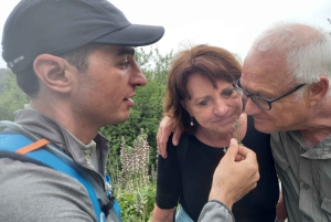 From Siracusa: Pantalica Nature Reserve Guided Hiking Tour