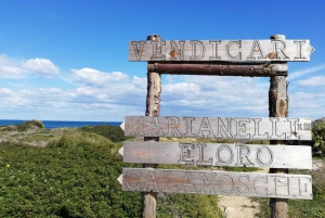 シラクーサ発：ヴェンディカリ自然保護区のガイド付きツアー