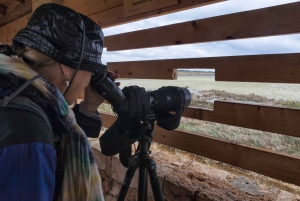 シラクーサ発：ヴェンディカリ自然保護区のガイド付きツアー