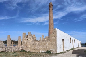 シラクーサ発：ヴェンディカリ自然保護区のガイド付きツアー