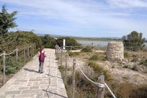 シラクーサ発：ヴェンディカリ自然保護区のガイド付きツアー