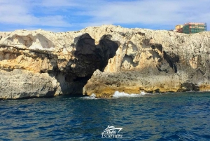 Syracuse: Boat Trip with lunch , Wine & Swimming Stops