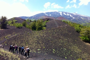 Von Syrakus: Ätna-Tour mit leichtem Mittagessen und einem Glas Wein