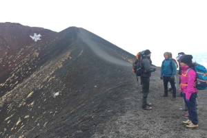 Von Syrakus: Ätna-Tour mit leichtem Mittagessen und einem Glas Wein