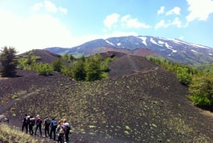 From Syracuse: Etna tour with light lunch and wine tasting