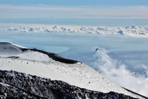 From Syracuse: Etna Volcano & Zafferana Etnea Private Tour