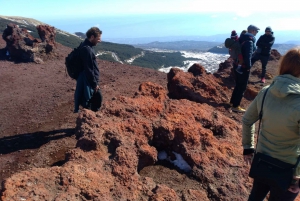 From Syracuse: Mount Etna Guided Morning Hike & Food Tasting