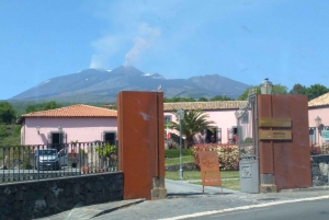 From Syracuse: Mt. Etna Trekking Day Trip with Wine Tasting