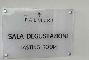 desde Siracusa: Noto, Marzamemi y Cata de vinos en Avola