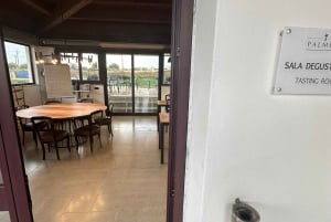 desde Siracusa: Noto, Marzamemi y Cata de vinos en Avola