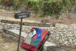 desde Siracusa: Noto, Marzamemi y Cata de vinos en Avola