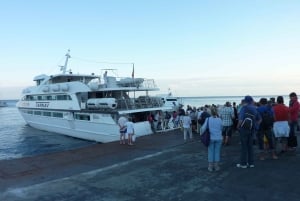 Au départ de Taormine : Excursion d'une journée à Panarea et Stromboli