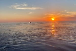 Au départ de Taormine : Excursion d'une journée à Panarea et Stromboli
