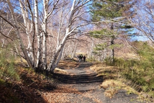 From Taormina: Etna Trekking