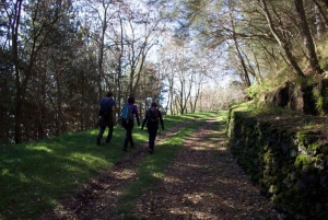 From Taormina: Etna Trekking