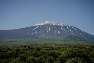 Fra Taormina: Dagstur til Etnas øvre kratere