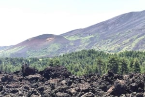 Fra Taormina: Etna-vandring og vinprovning på vingård
