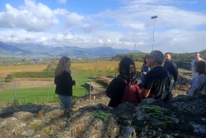From Taormina: Etna Wineries Small Group Tour