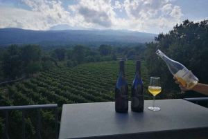 From Taormina: Etna Wineries Small Group Tour