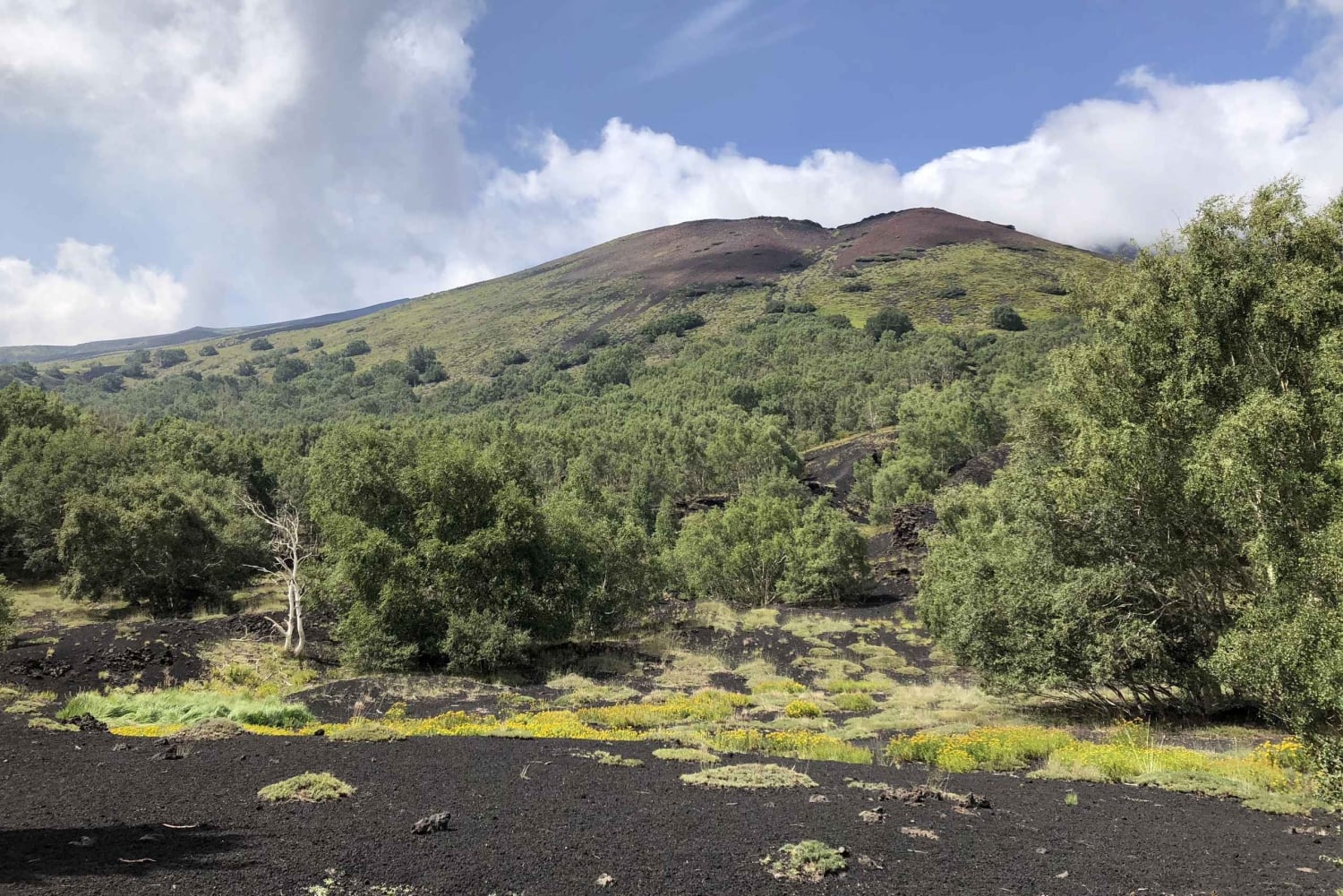 Au départ de Taormine : visite d'une jounée de l'Etna, du vin et des canyons d'Alcantara