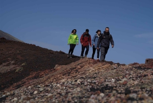Fra Taormina: Heldags privat tur med Etna og vin