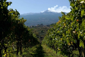 From Taormina: Full-Day Etna & Wine private Tour