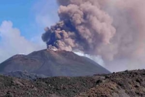 Mount Etna: Private Half-Day Trip with Audio Guide & Pickup
