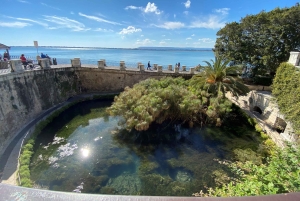 タオルミーナ発：シラクーサとオルティージャ島ガイドツアー