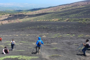 Da Taormina: Escursione Guidata all'Etna e alle Gole dell'Alcantara