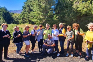 Da Taormina: Escursione Guidata all'Etna e alle Gole dell'Alcantara