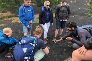 Au départ de Taormina : Randonnée matinale d'une demi-journée sur l'Etna