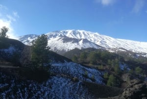 Au départ de Taormina : Randonnée matinale d'une demi-journée sur l'Etna