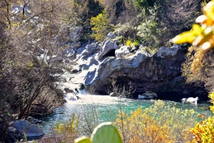 From Taormina: Mount Etna and Alcantara River Tour